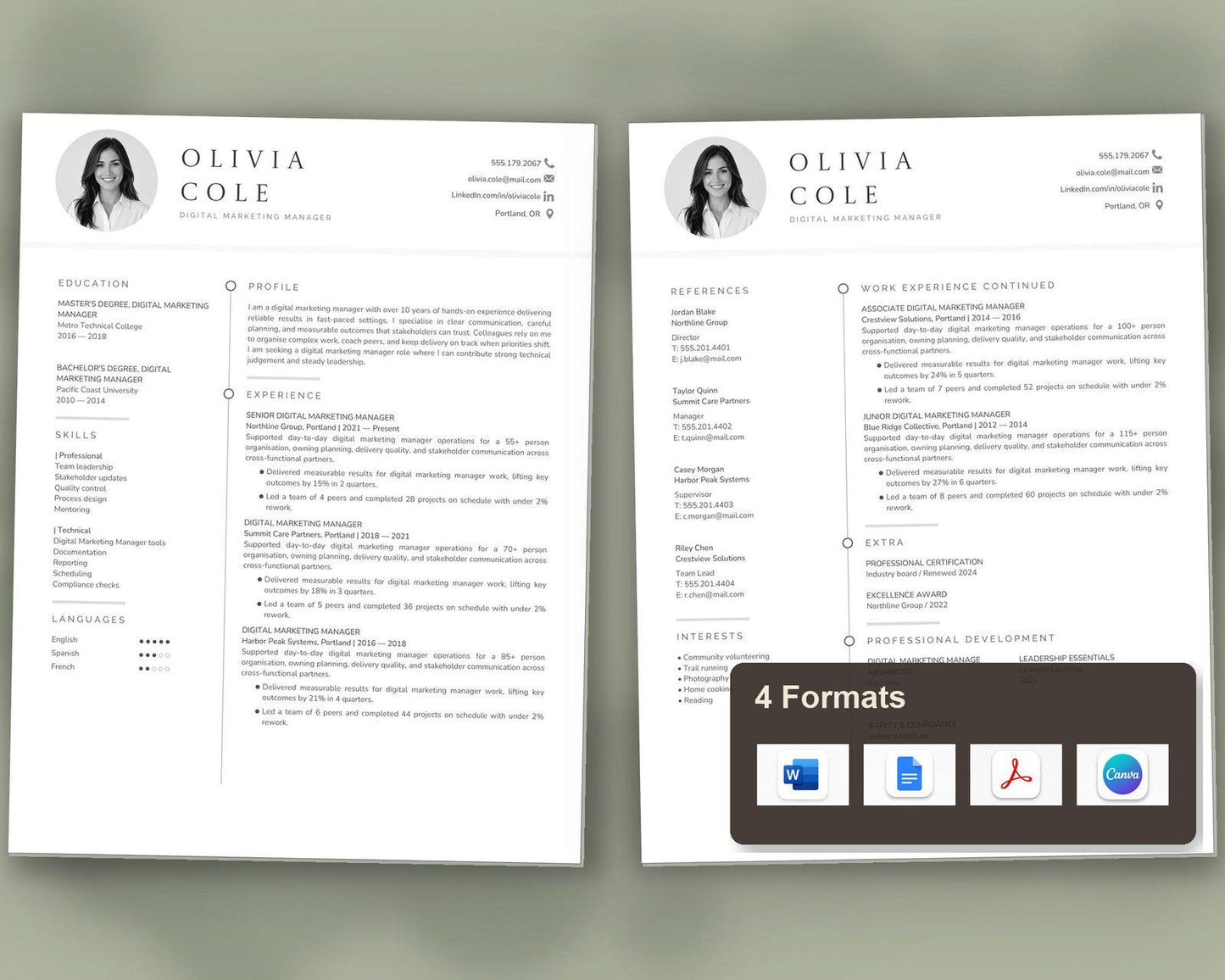 Digital Marketing Manager Resume Template