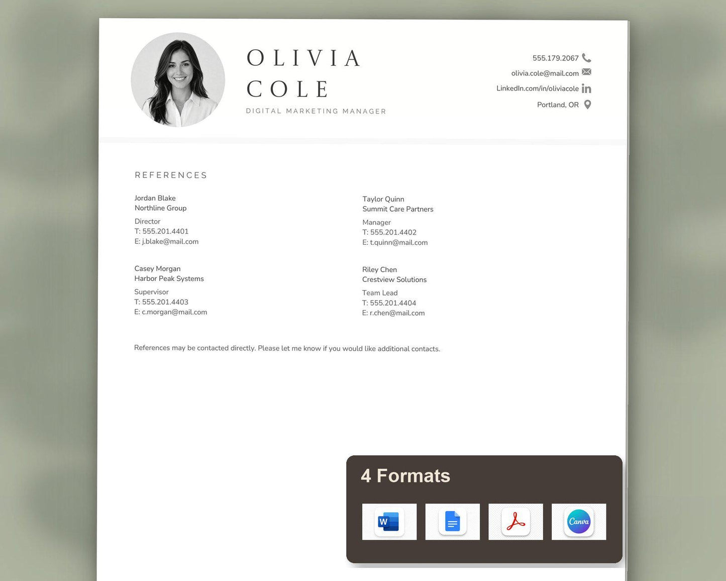 Digital Marketing Manager Resume Template