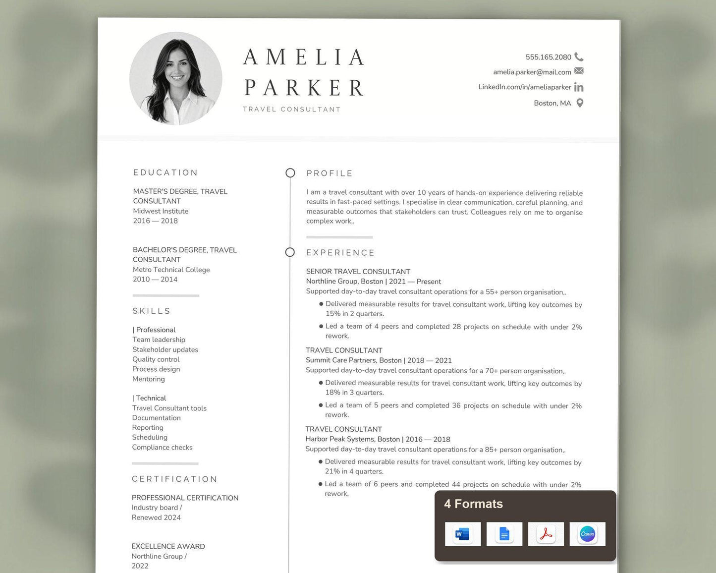 Travel Consultant Resume Template