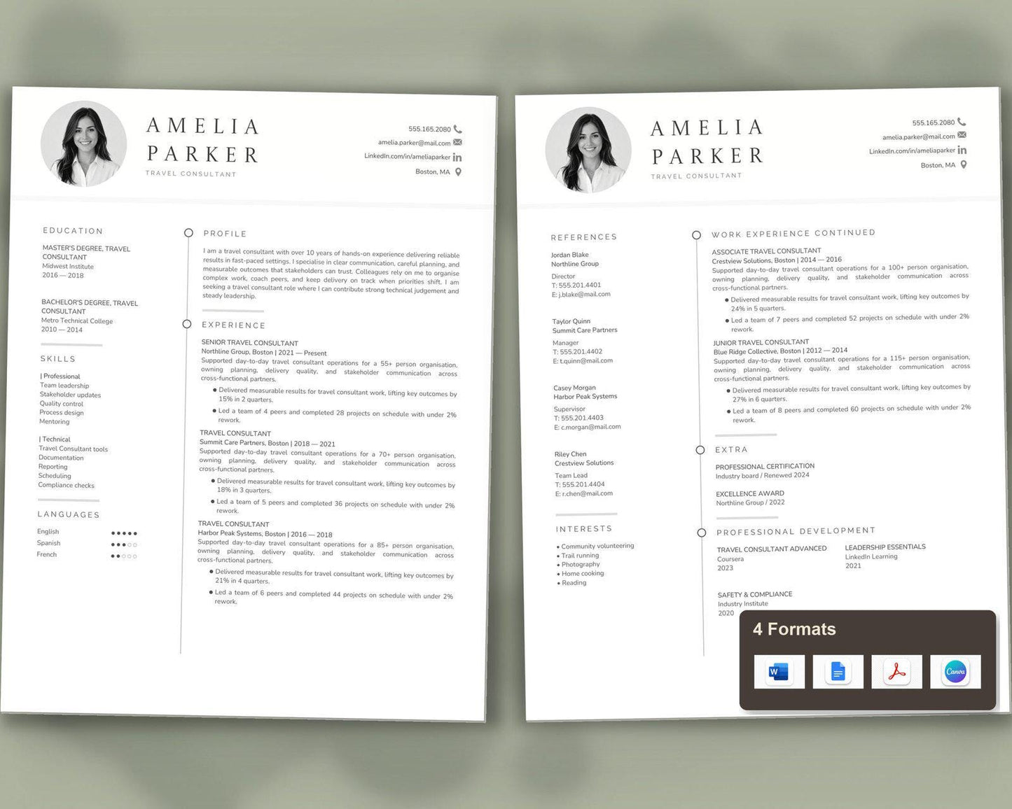 Travel Consultant Resume Template