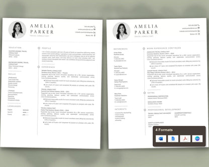 Travel Consultant Resume Template