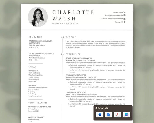 Insurance Underwriter Resume Template