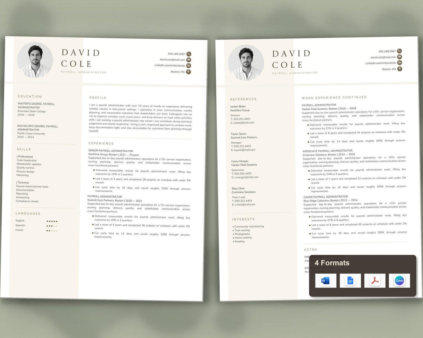 Payroll Administrator Resume Template