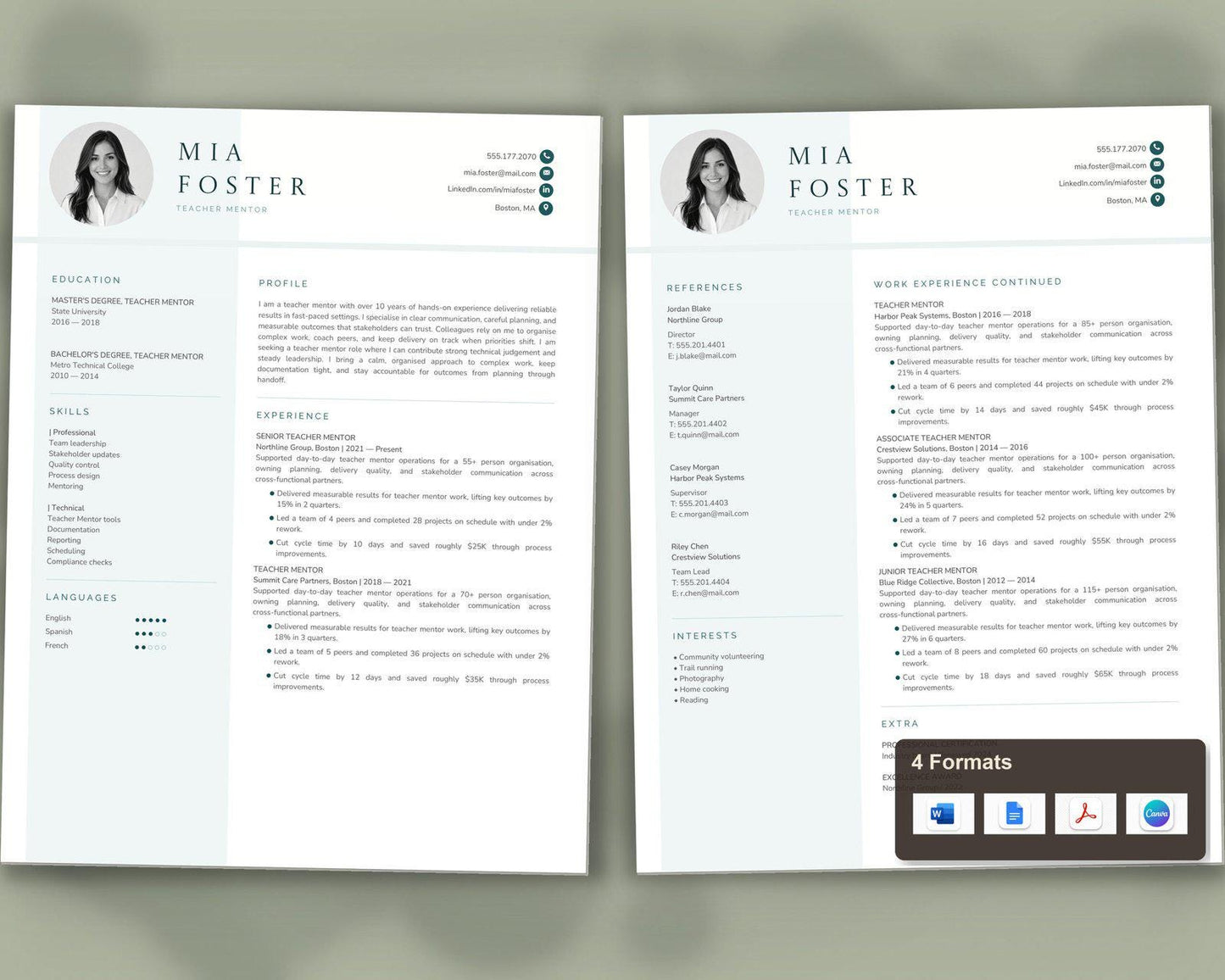 Teacher Mentor Resume Template