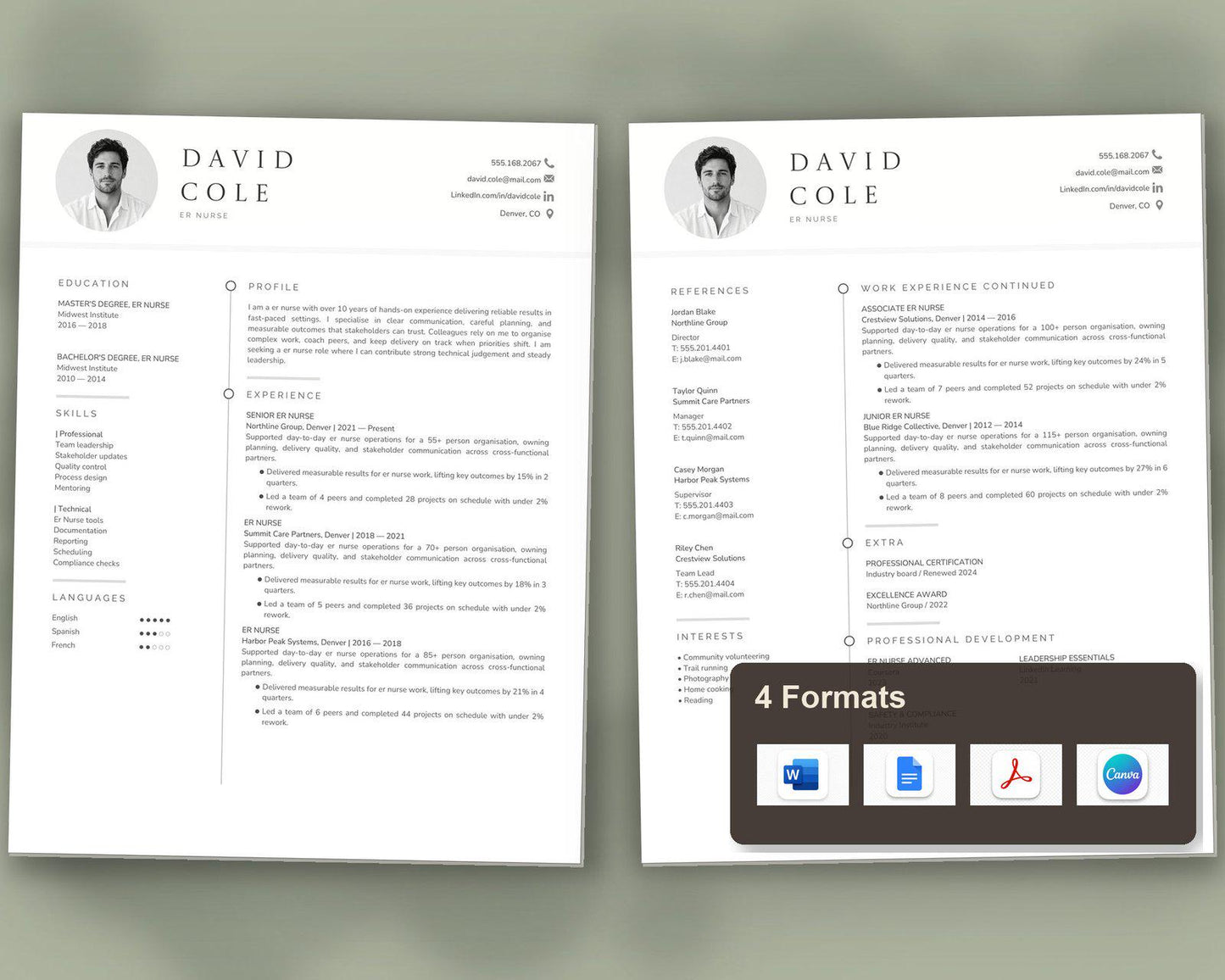 Er Nurse Resume Template