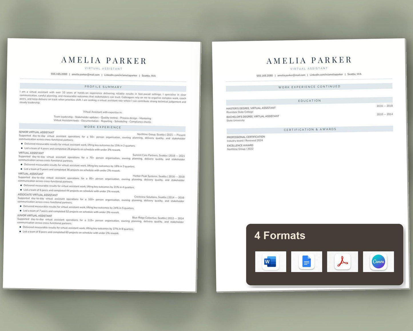 Virtual Assistant Resume Template