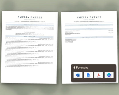 Virtual Assistant Resume Template