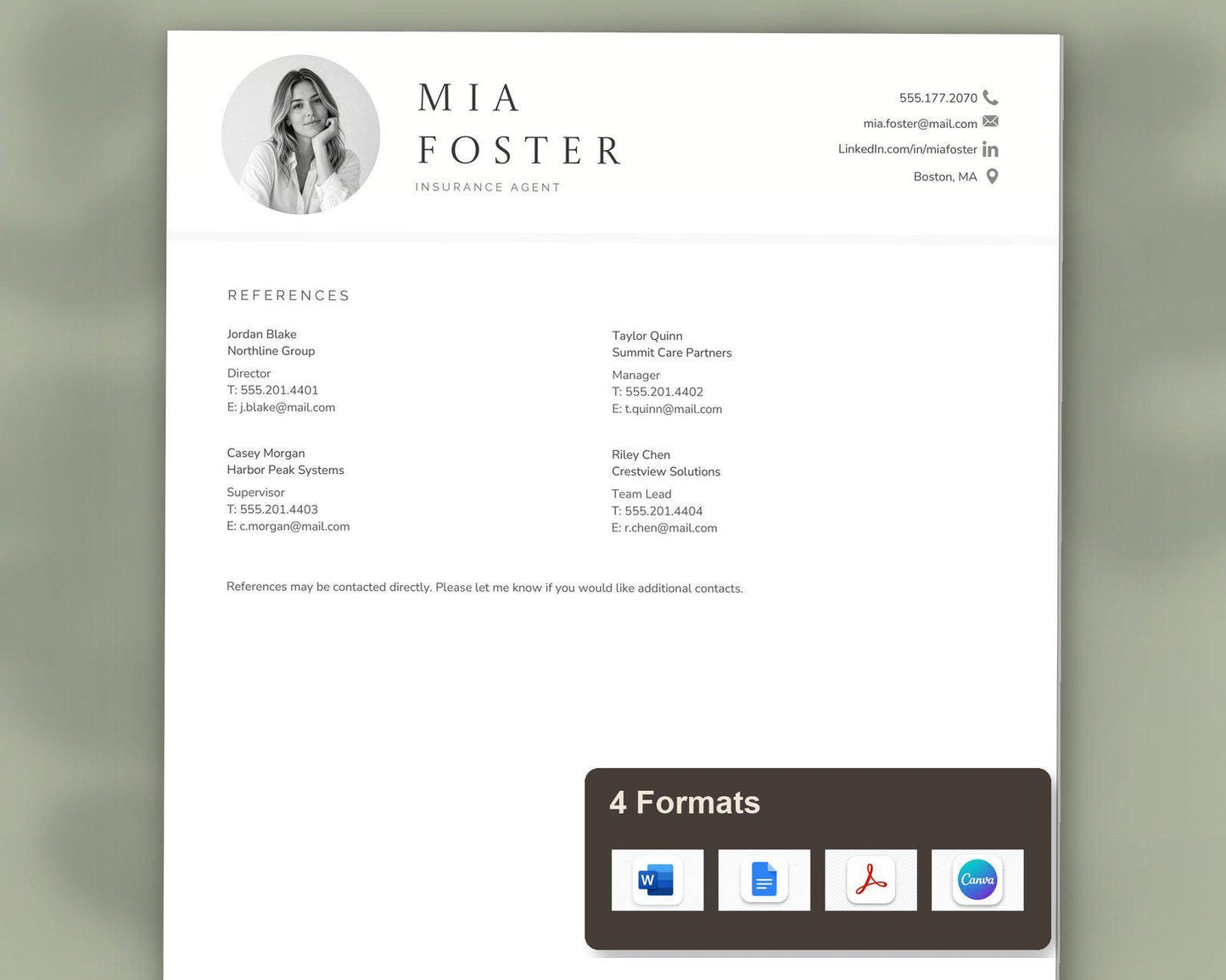 Insurance Agent Resume Template