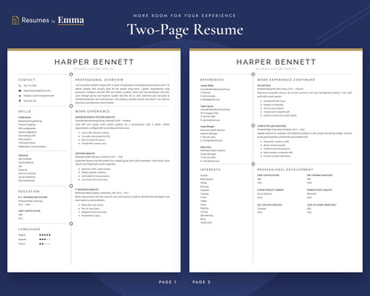 systems-analyst 02 two-page